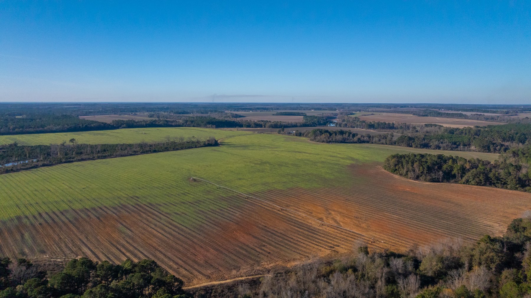 Image for The Glenn Farm Property - 377.6+/- Total Acres - Mitchell County, Georgia