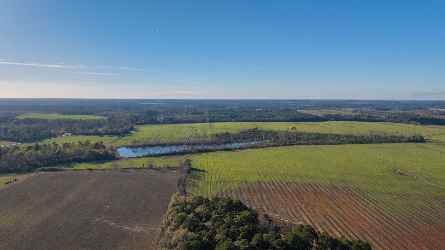 Image for The Glenn Farm Property - 377.6+/- Total Acres - Mitchell County, Georgia