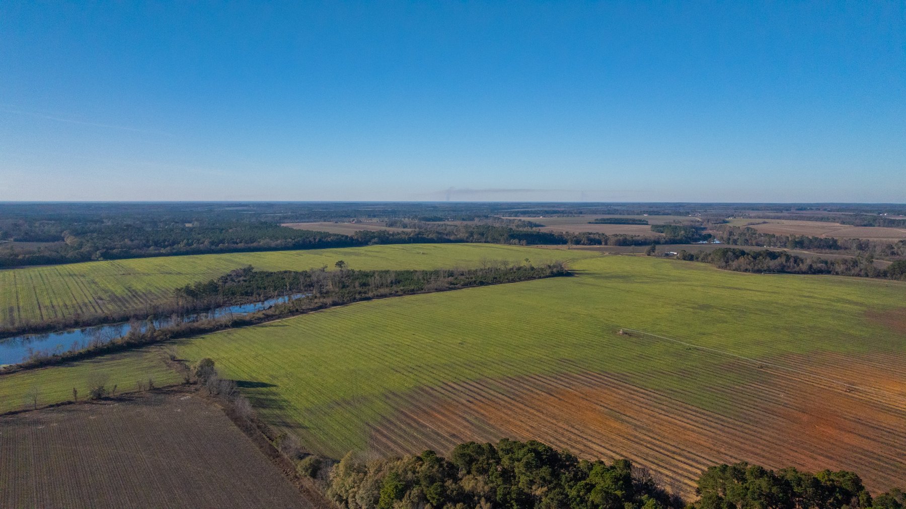 Image for The Glenn Farm Property - 377.6+/- Total Acres - Mitchell County, Georgia