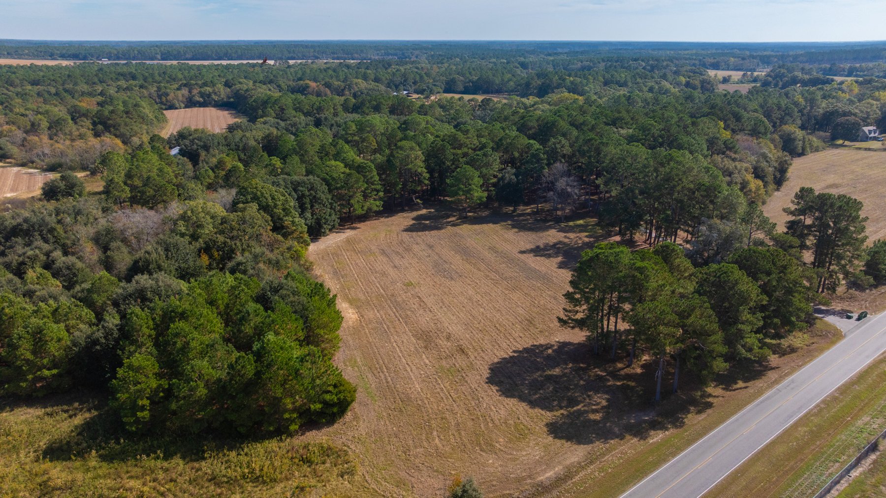 Image for 53± Acres - Land Auction - Beautiful Farmland, Timber & Ponds - Outdoor Paradise in Colquitt County, GA