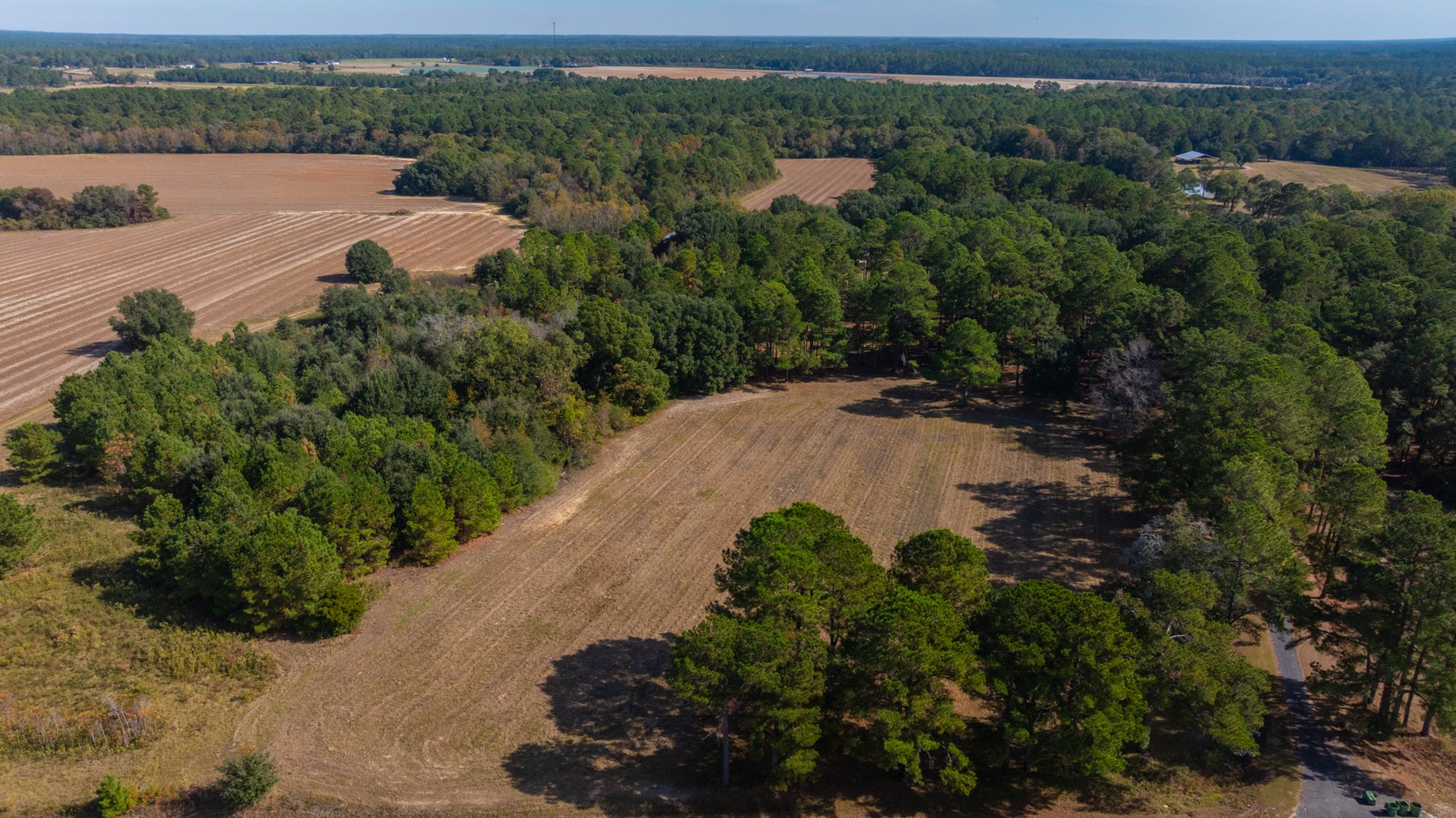 Image for 53± Acres - Land Auction - Beautiful Farmland, Timber & Ponds - Outdoor Paradise in Colquitt County, GA