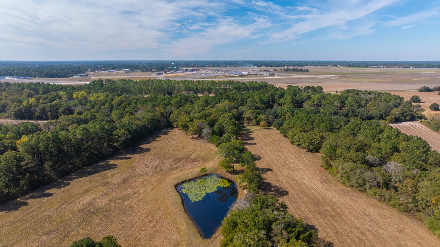 Image for 53± Acres - Land Auction - Beautiful Farmland, Timber & Ponds - Outdoor Paradise in Colquitt County, GA