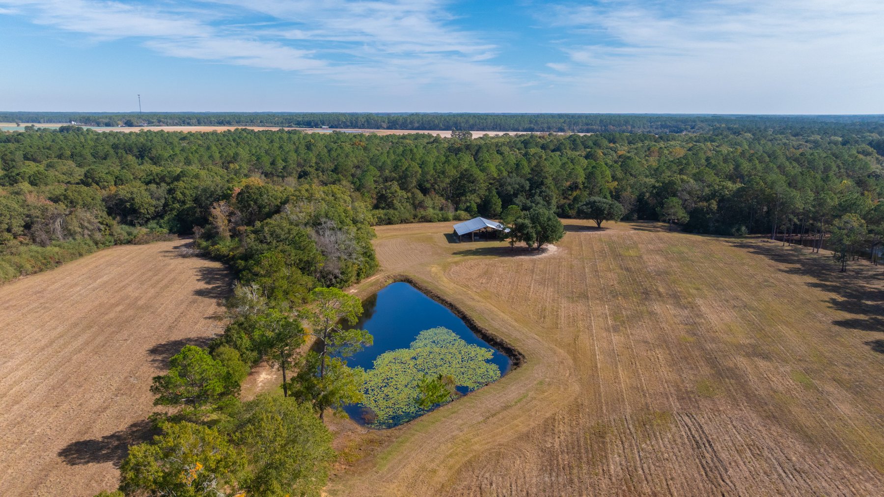 Image for 53± Acres - Land Auction - Beautiful Farmland, Timber & Ponds - Outdoor Paradise in Colquitt County, GA
