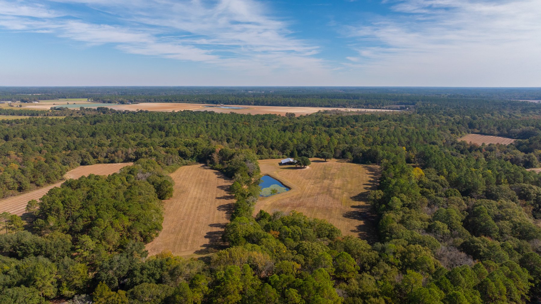 Image for 53± Acres - Land Auction - Beautiful Farmland, Timber & Ponds - Outdoor Paradise in Colquitt County, GA