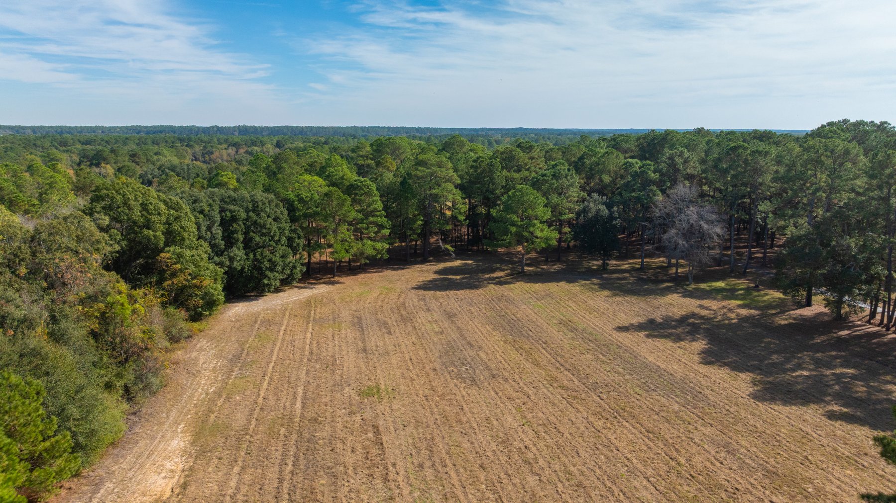 Image for 53± Acres - Land Auction - Beautiful Farmland, Timber & Ponds - Outdoor Paradise in Colquitt County, GA