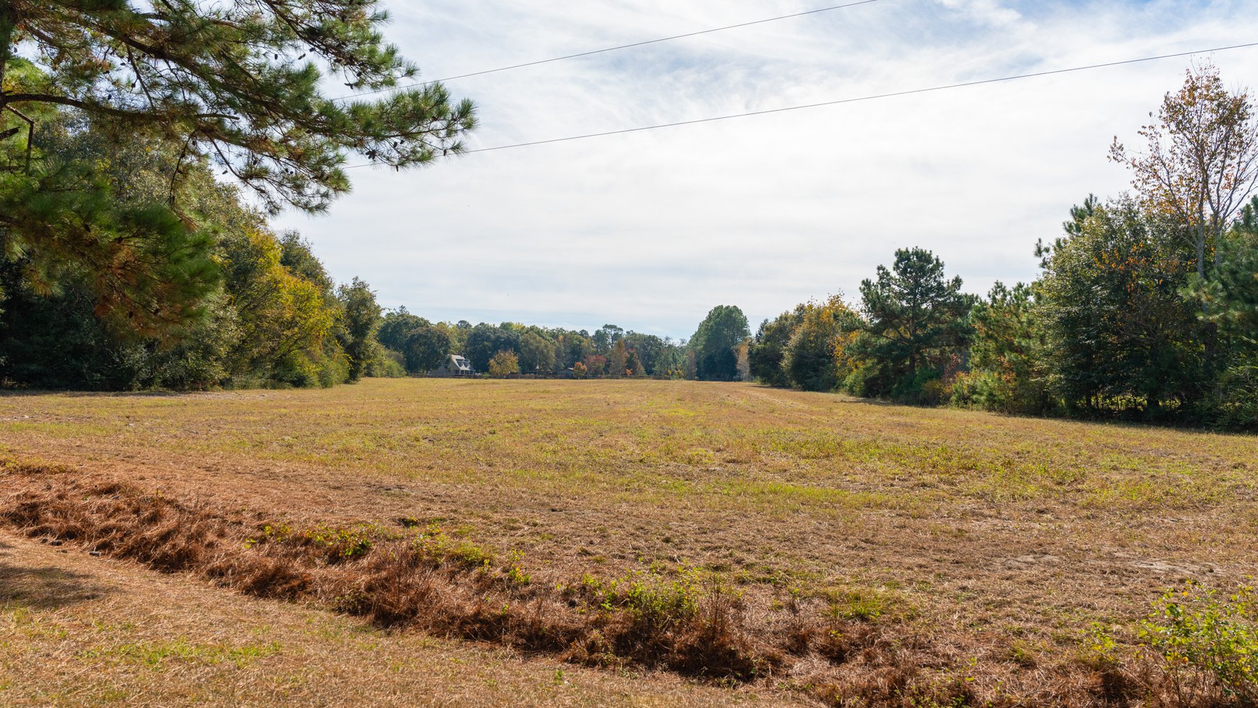Image for 53± Acres - Land Auction - Beautiful Farmland, Timber & Ponds - Outdoor Paradise in Colquitt County, GA