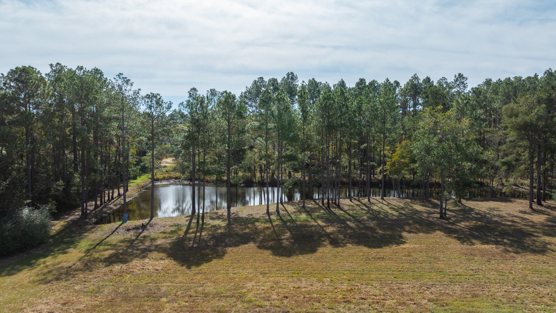 Image for 53± Acres - Land Auction - Beautiful Farmland, Timber & Ponds - Outdoor Paradise in Colquitt County, GA