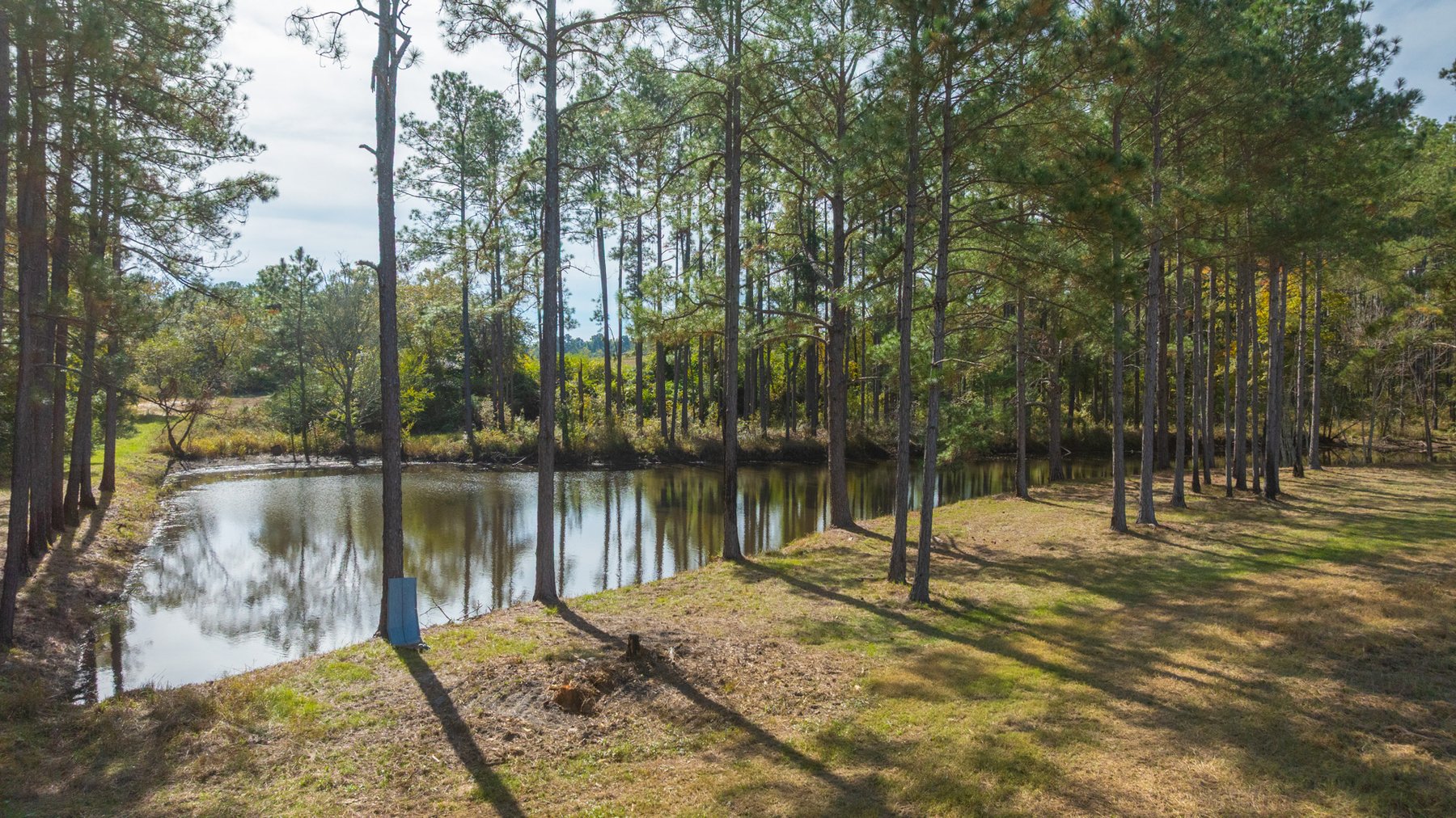 Image for 53± Acres - Land Auction - Beautiful Farmland, Timber & Ponds - Outdoor Paradise in Colquitt County, GA