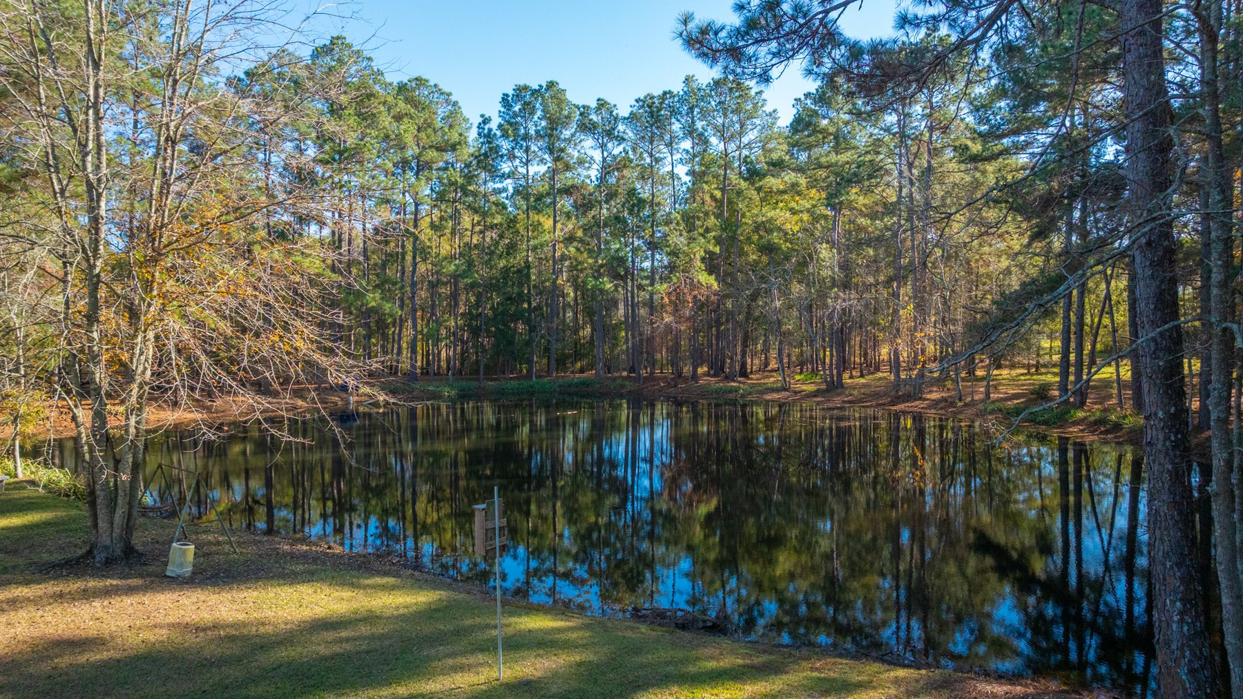 Image for 53± Acres - Land Auction - Beautiful Farmland, Timber & Ponds - Outdoor Paradise in Colquitt County, GA