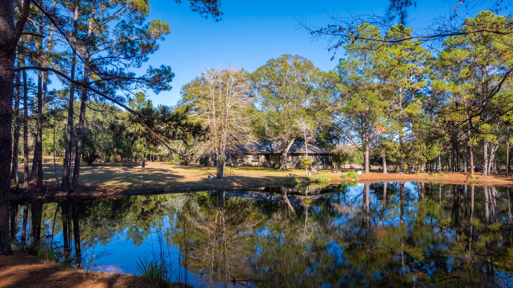 Image for 53± Acres - Land Auction - Beautiful Farmland, Timber & Ponds - Outdoor Paradise in Colquitt County, GA