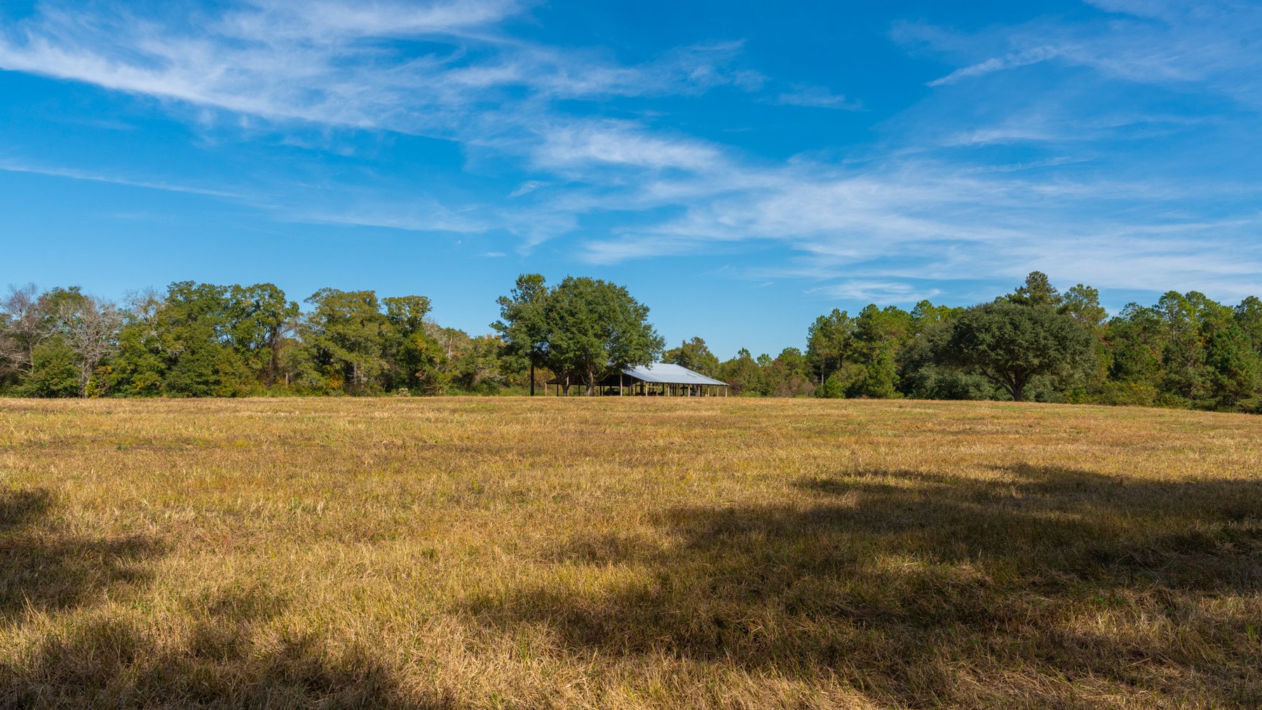 Image for 53± Acres - Land Auction - Beautiful Farmland, Timber & Ponds - Outdoor Paradise in Colquitt County, GA