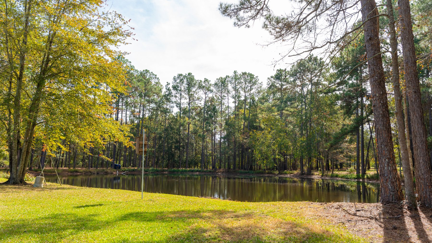 Image for 53± Acres - Land Auction - Beautiful Farmland, Timber & Ponds - Outdoor Paradise in Colquitt County, GA