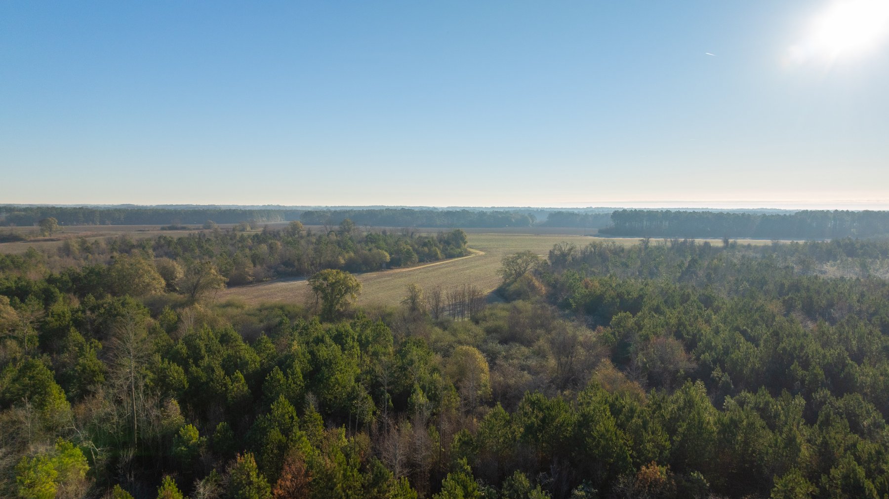 Image for 253+/- Acres - Bear Creek Farm - Sportsman’s Paradise w/ Row Crop Farmland - Premium Hunting & Creek Frontage - Offered Divided & as a whole