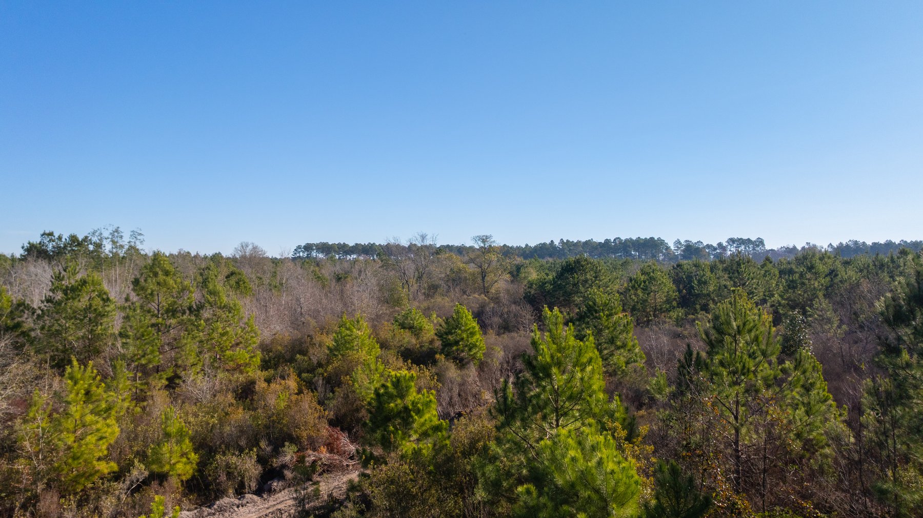 Image for 253+/- Acres - Bear Creek Farm - Sportsman’s Paradise w/ Row Crop Farmland - Premium Hunting & Creek Frontage - Offered Divided & as a whole