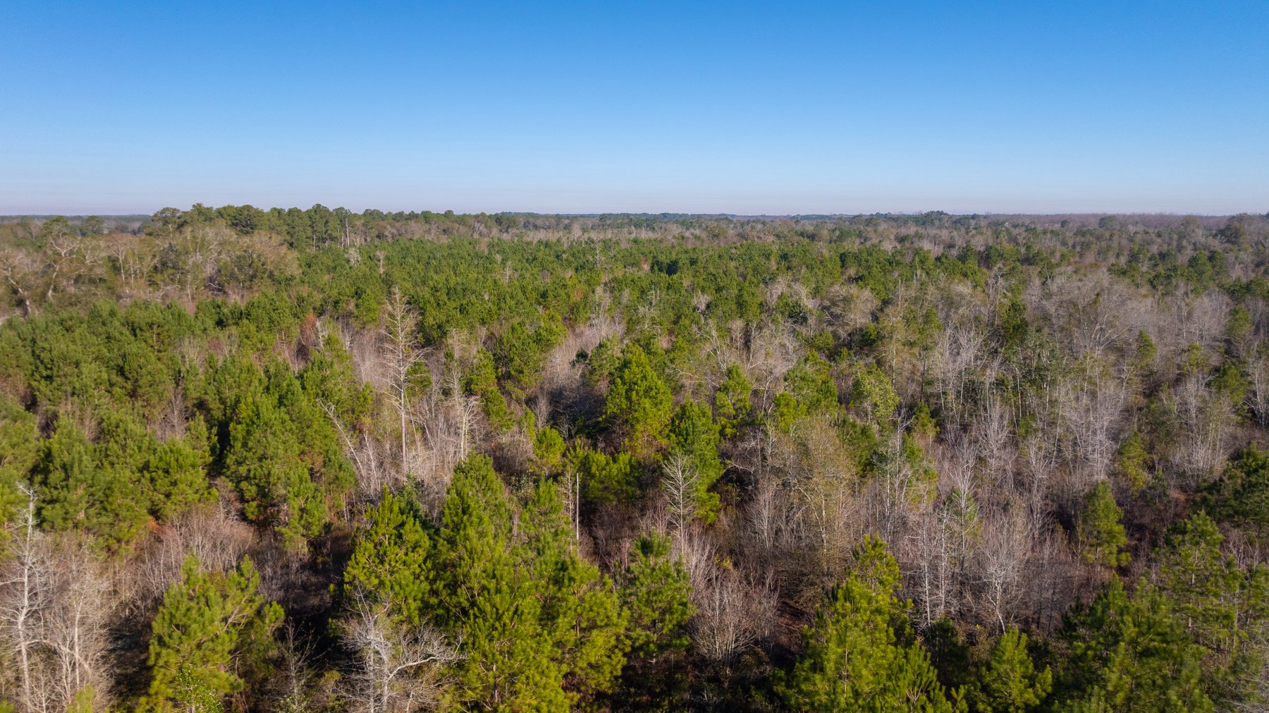 Image for 253+/- Acres - Bear Creek Farm - Sportsman’s Paradise w/ Row Crop Farmland - Premium Hunting & Creek Frontage - Offered Divided & as a whole