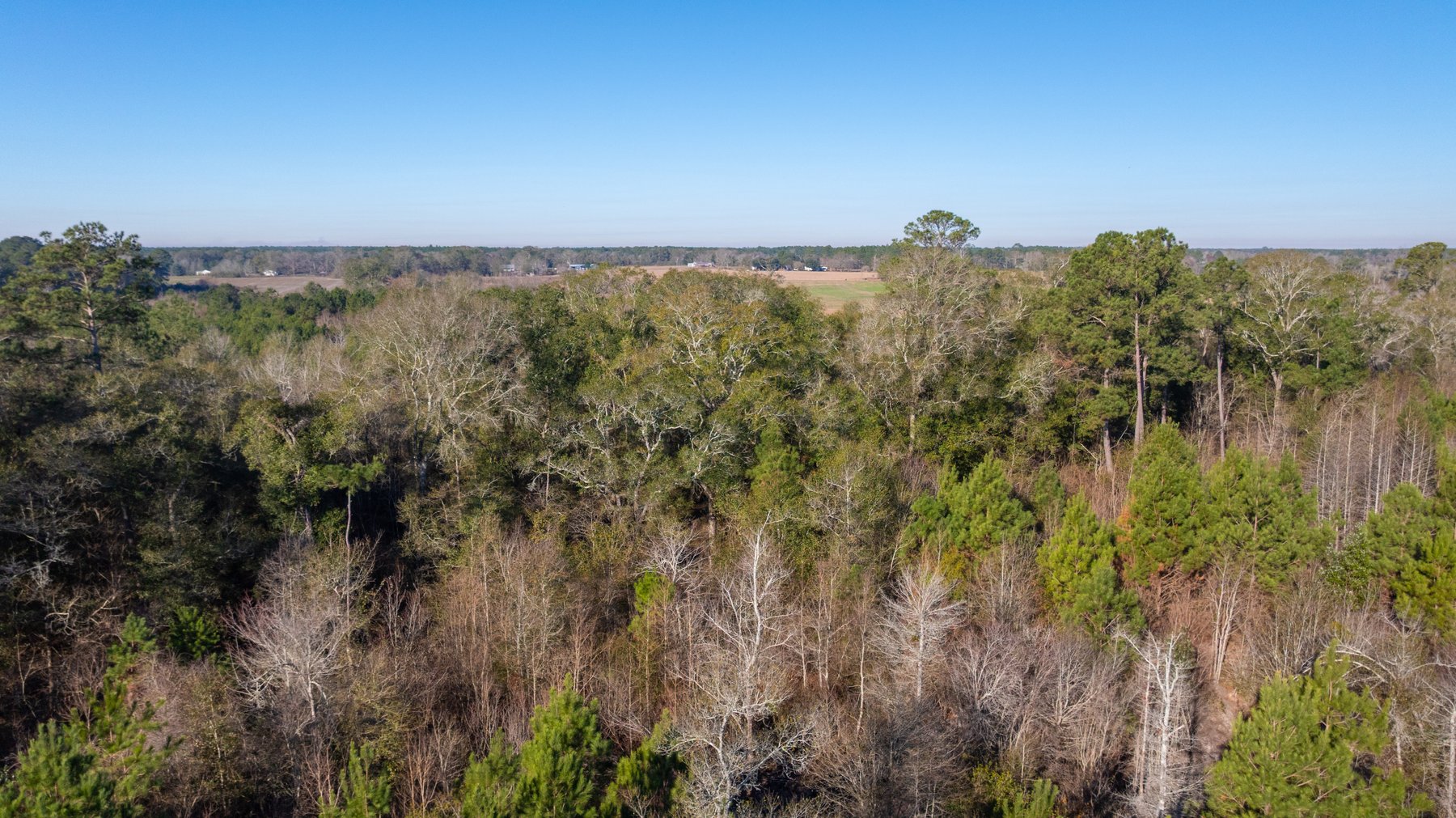 Image for 253+/- Acres - Bear Creek Farm - Sportsman’s Paradise w/ Row Crop Farmland - Premium Hunting & Creek Frontage - Offered Divided & as a whole