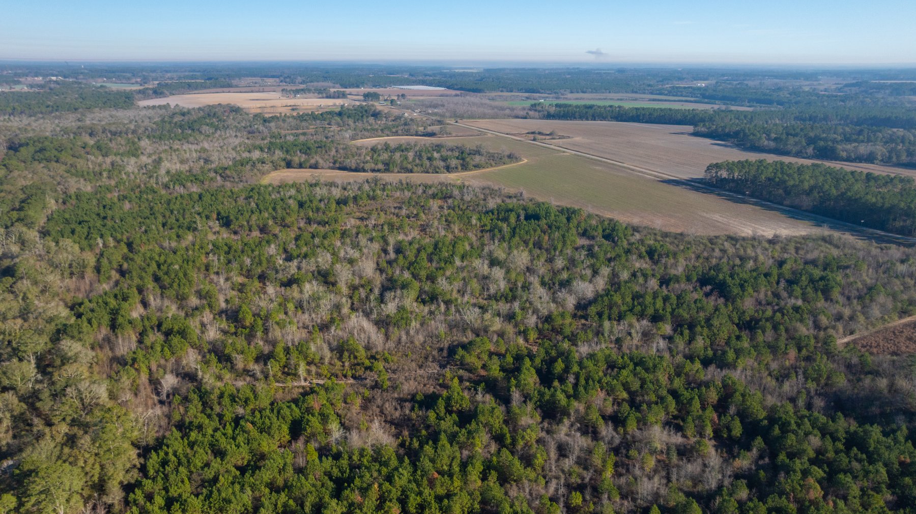 Image for 253+/- Acres - Bear Creek Farm - Sportsman’s Paradise w/ Row Crop Farmland - Premium Hunting & Creek Frontage - Offered Divided & as a whole