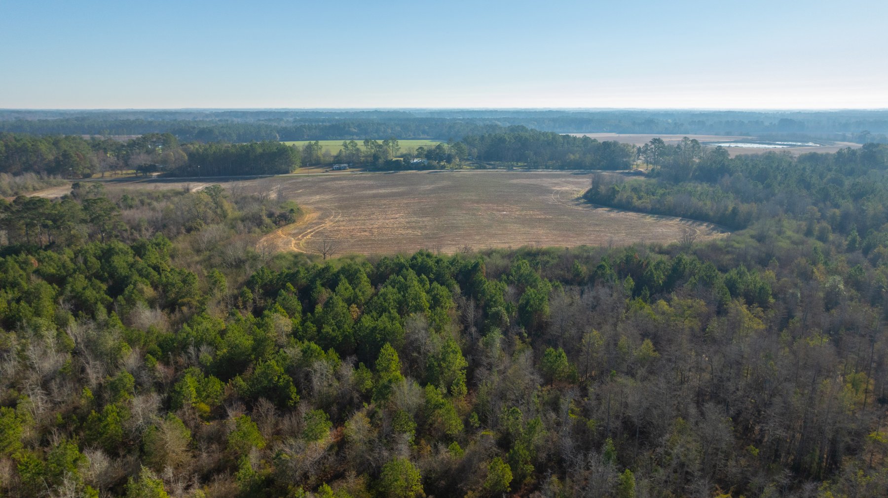 Image for 253+/- Acres - Bear Creek Farm - Sportsman’s Paradise w/ Row Crop Farmland - Premium Hunting & Creek Frontage - Offered Divided & as a whole