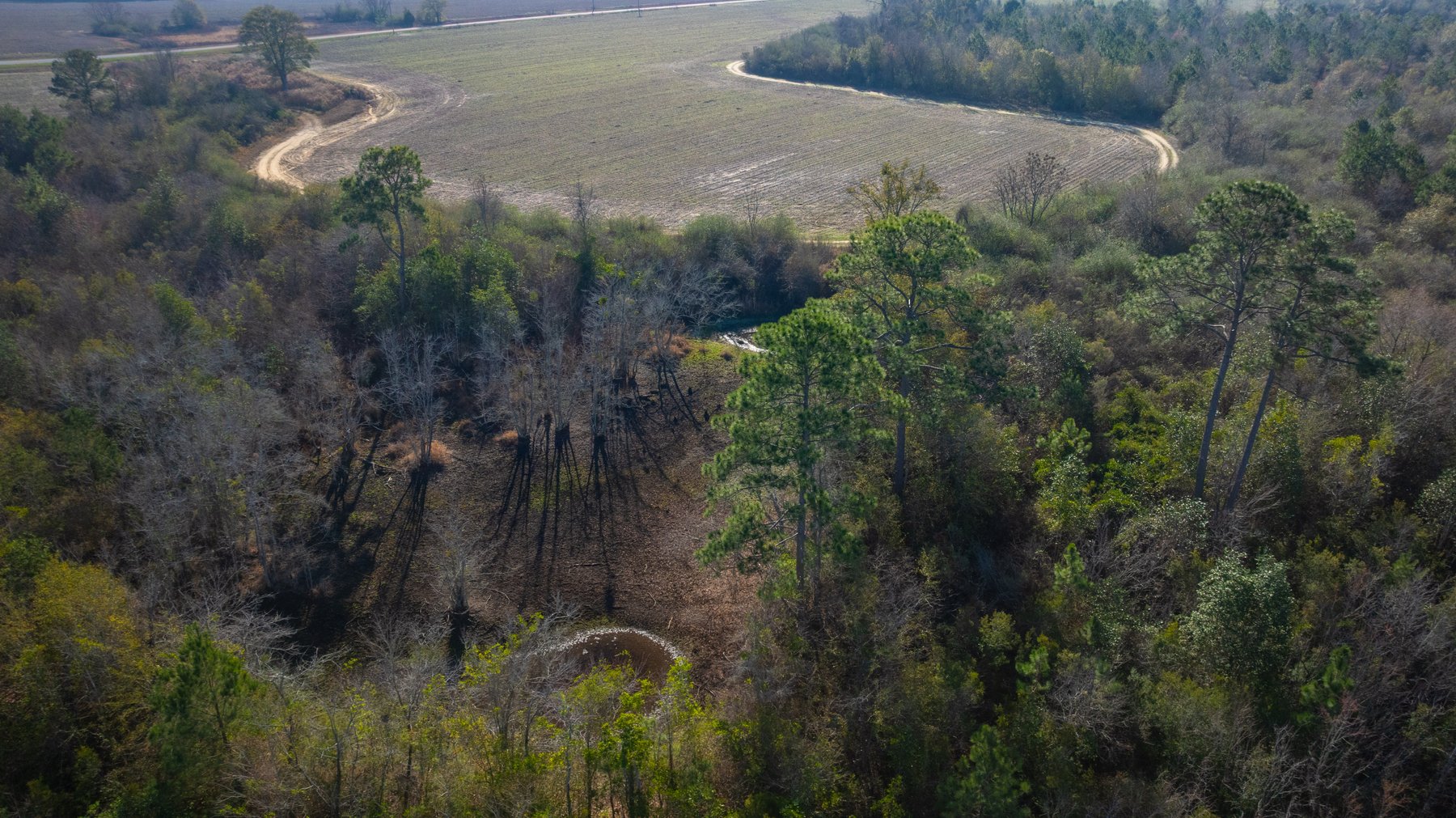 Image for 253+/- Acres - Bear Creek Farm - Sportsman’s Paradise w/ Row Crop Farmland - Premium Hunting & Creek Frontage - Offered Divided & as a whole