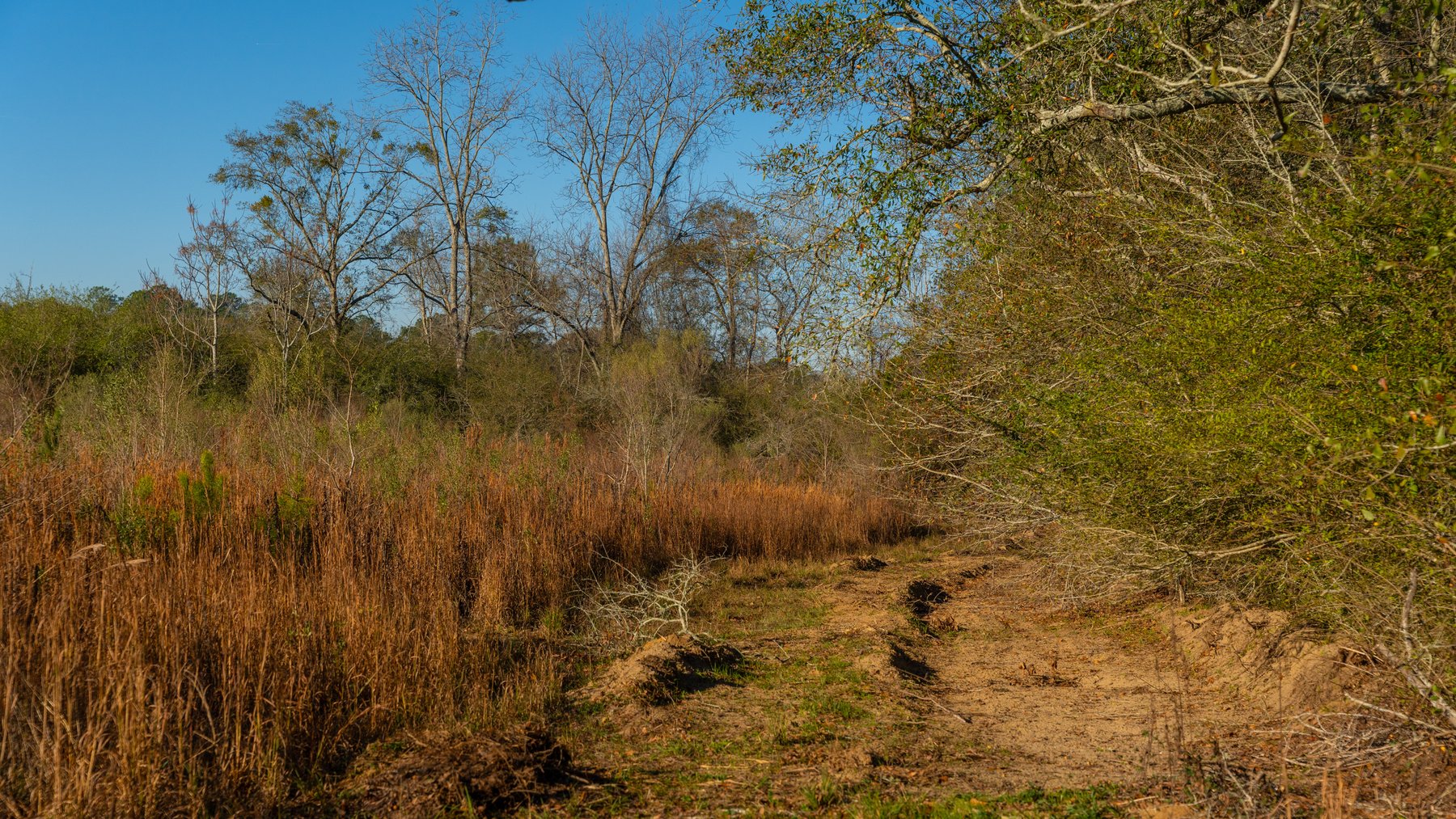 Image for 253+/- Acres - Bear Creek Farm - Sportsman’s Paradise w/ Row Crop Farmland - Premium Hunting & Creek Frontage - Offered Divided & as a whole