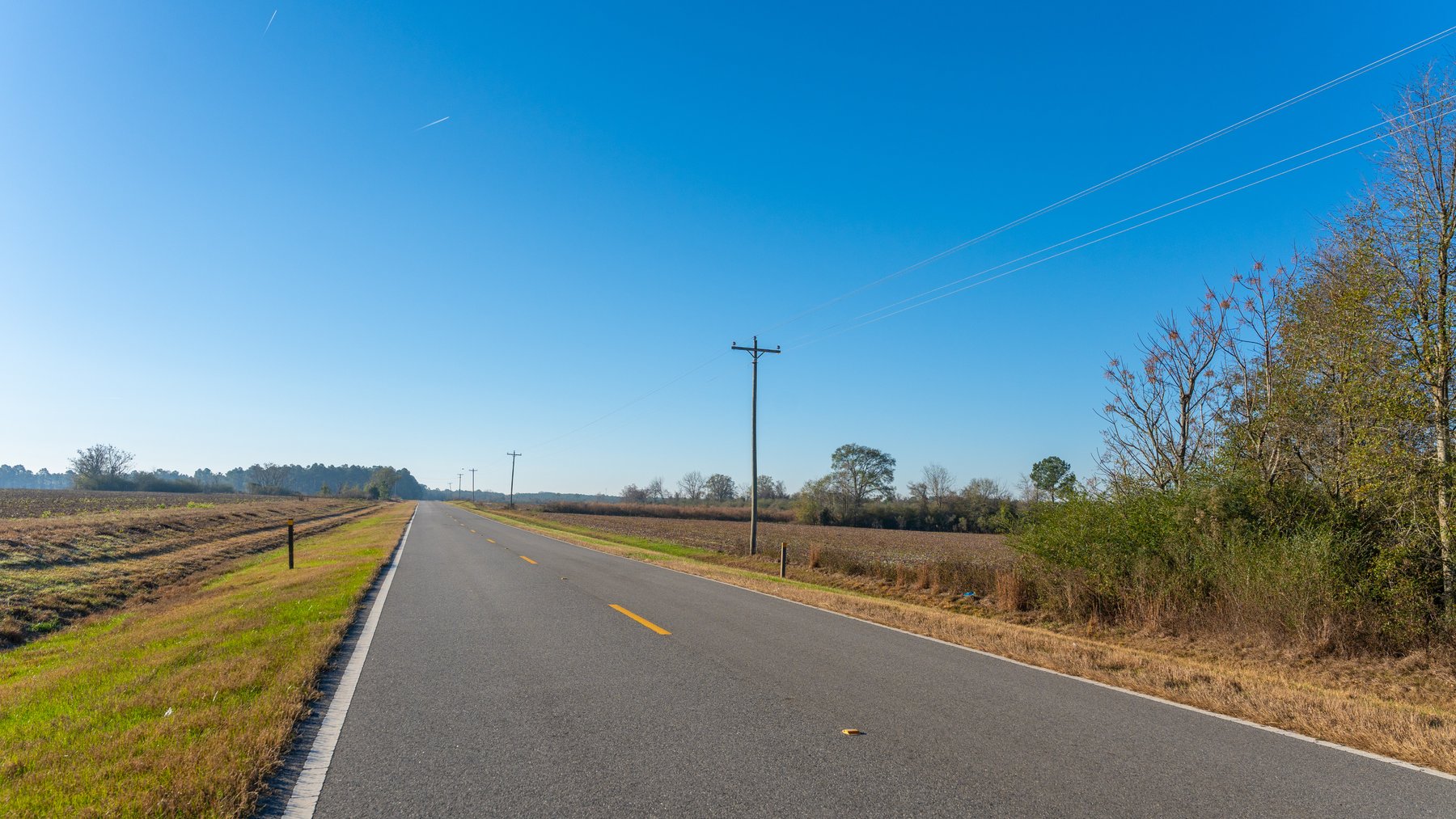 Image for 253+/- Acres - Bear Creek Farm - Sportsman’s Paradise w/ Row Crop Farmland - Premium Hunting & Creek Frontage - Offered Divided & as a whole