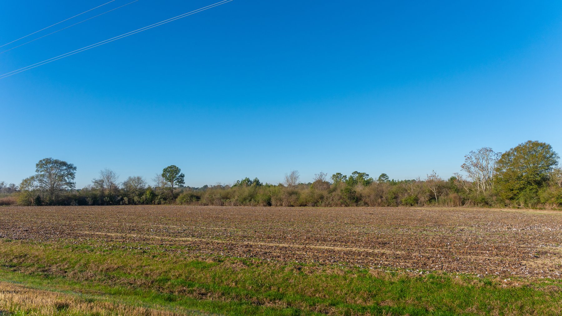 Image for 253+/- Acres - Bear Creek Farm - Sportsman’s Paradise w/ Row Crop Farmland - Premium Hunting & Creek Frontage - Offered Divided & as a whole