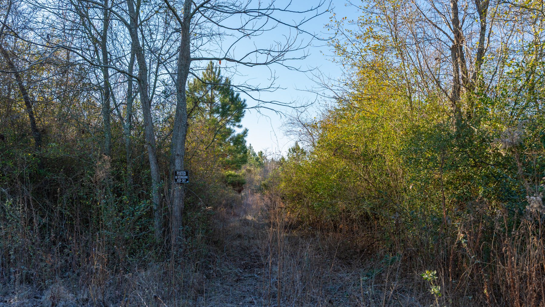 Image for 253+/- Acres - Bear Creek Farm - Sportsman’s Paradise w/ Row Crop Farmland - Premium Hunting & Creek Frontage - Offered Divided & as a whole