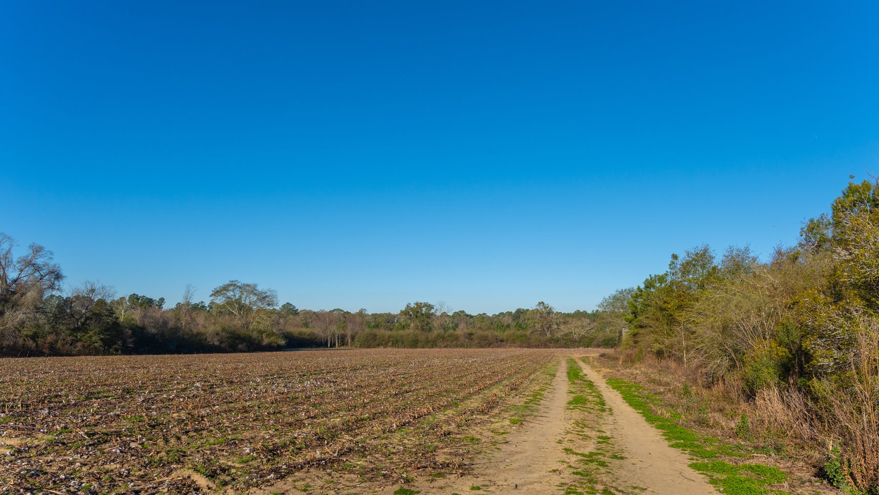 Image for 253+/- Acres - Bear Creek Farm - Sportsman’s Paradise w/ Row Crop Farmland - Premium Hunting & Creek Frontage - Offered Divided & as a whole