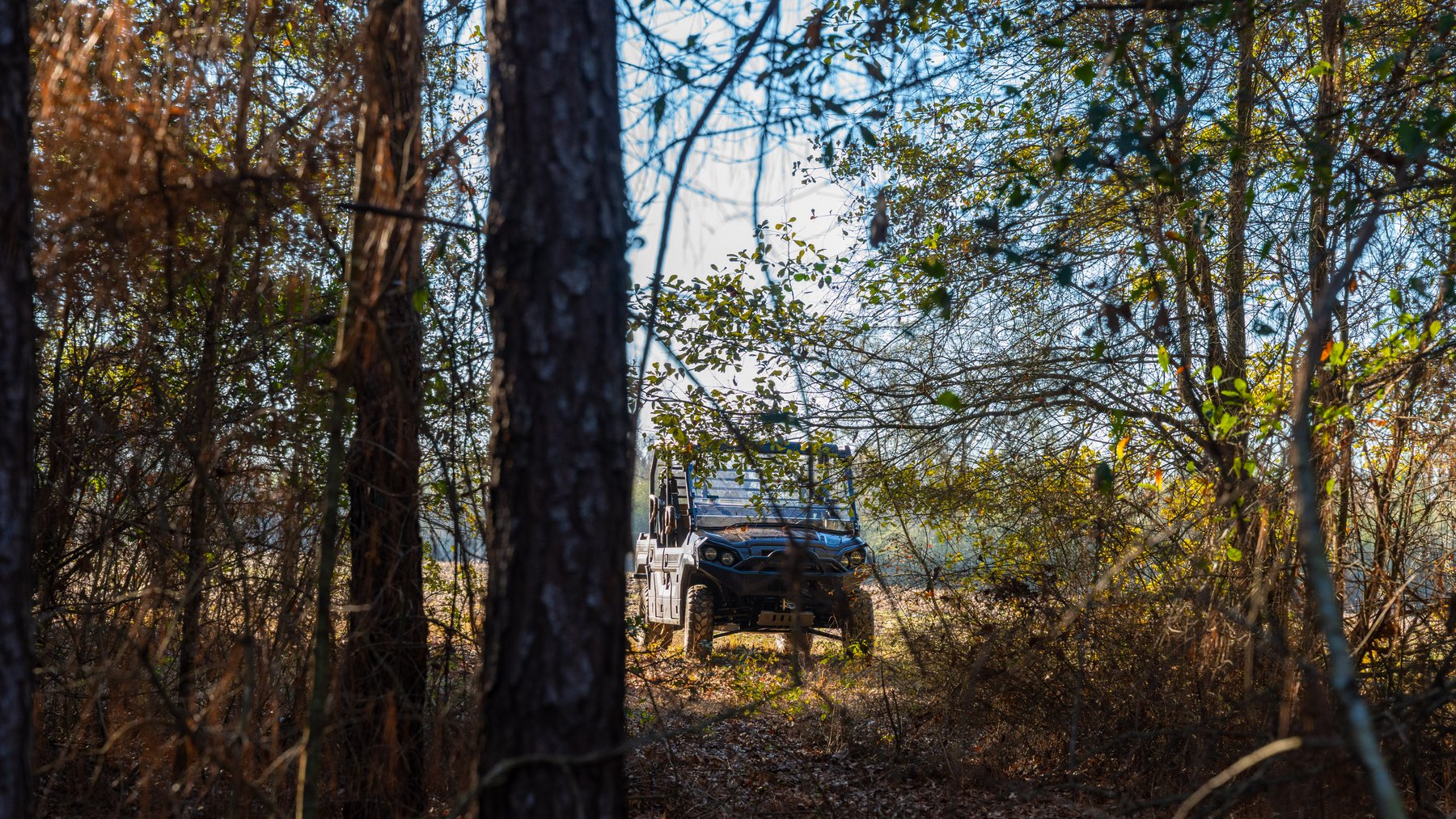 Image for 253+/- Acres - Bear Creek Farm - Sportsman’s Paradise w/ Row Crop Farmland - Premium Hunting & Creek Frontage - Offered Divided & as a whole