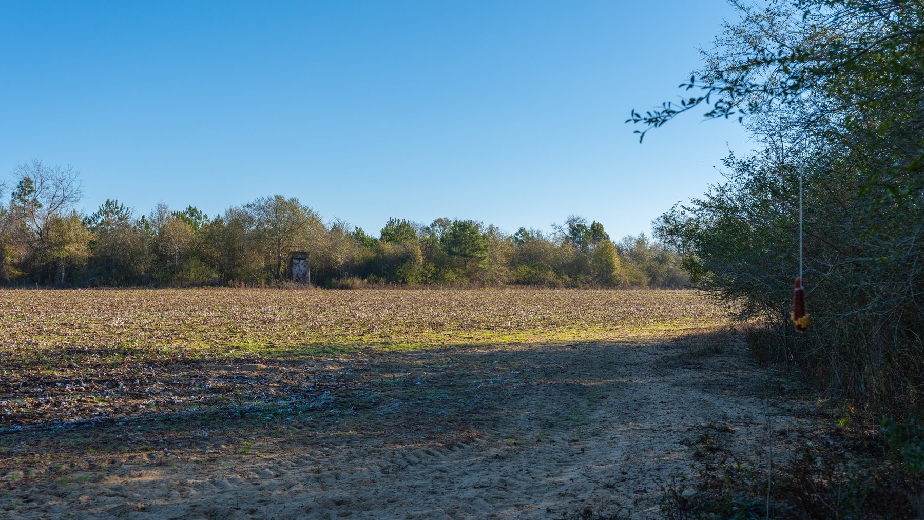 Image for 253+/- Acres - Bear Creek Farm - Sportsman’s Paradise w/ Row Crop Farmland - Premium Hunting & Creek Frontage - Offered Divided & as a whole