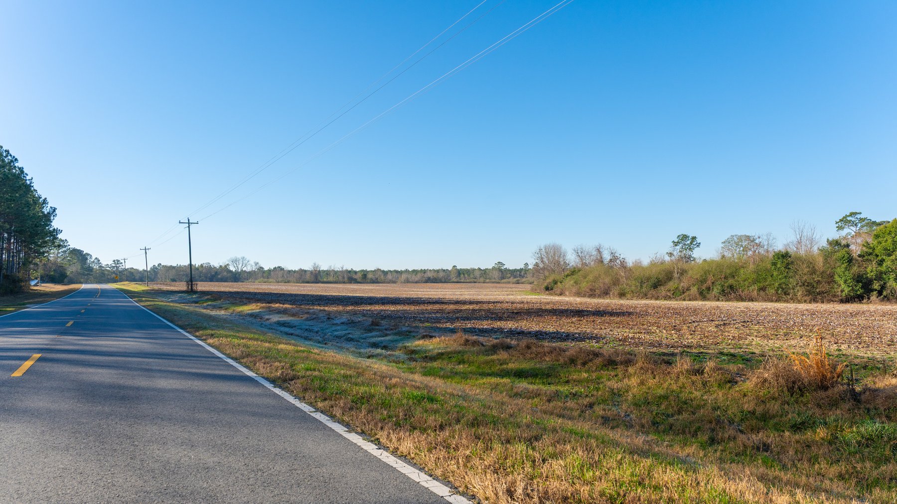 Image for 253+/- Acres - Bear Creek Farm - Sportsman’s Paradise w/ Row Crop Farmland - Premium Hunting & Creek Frontage - Offered Divided & as a whole