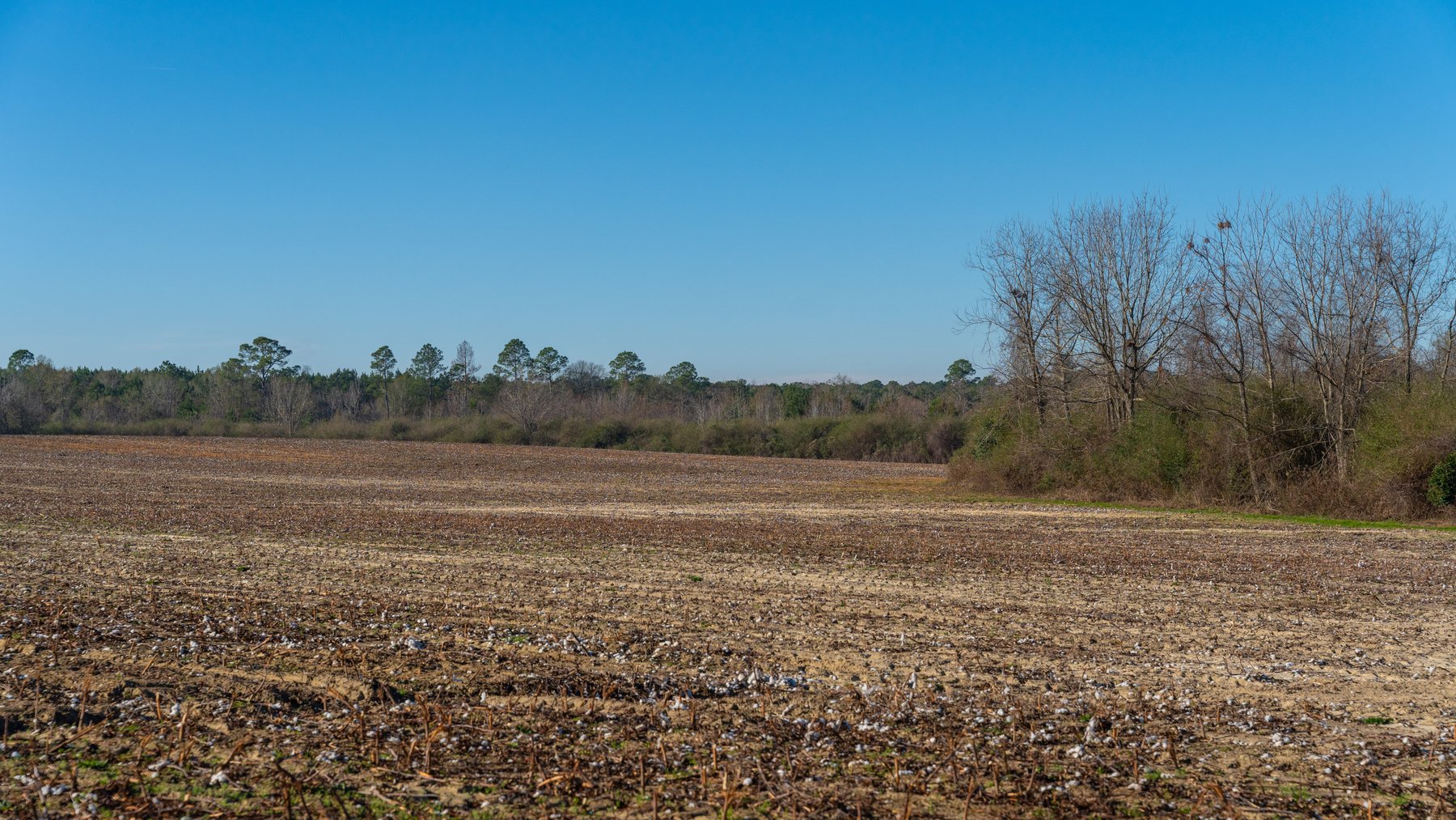 Image for 253+/- Acres - Bear Creek Farm - Sportsman’s Paradise w/ Row Crop Farmland - Premium Hunting & Creek Frontage - Offered Divided & as a whole
