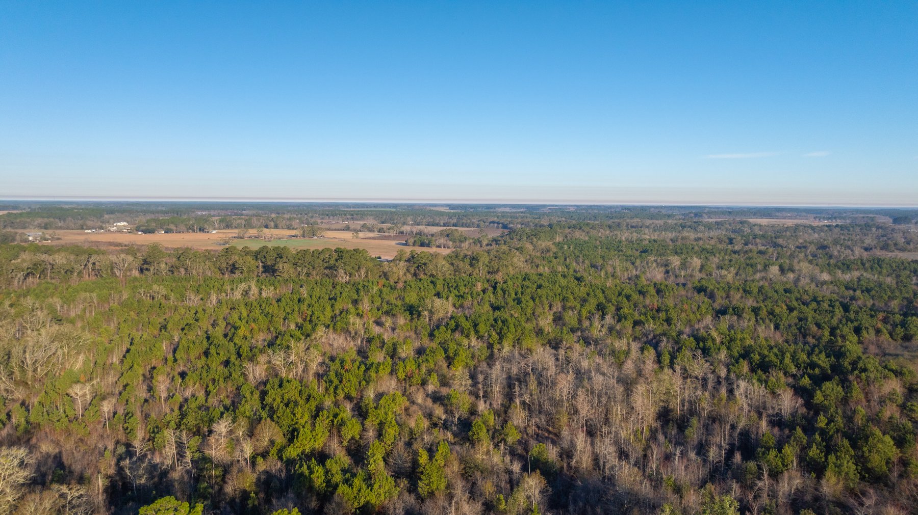 Image for 253+/- Acres - Bear Creek Farm - Sportsman’s Paradise w/ Row Crop Farmland - Premium Hunting & Creek Frontage - Offered Divided & as a whole