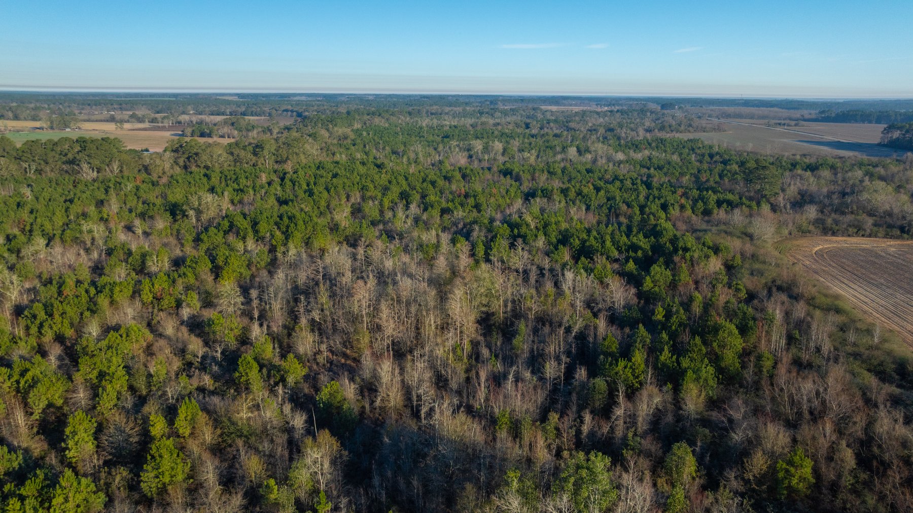 Image for 253+/- Acres - Bear Creek Farm - Sportsman’s Paradise w/ Row Crop Farmland - Premium Hunting & Creek Frontage - Offered Divided & as a whole