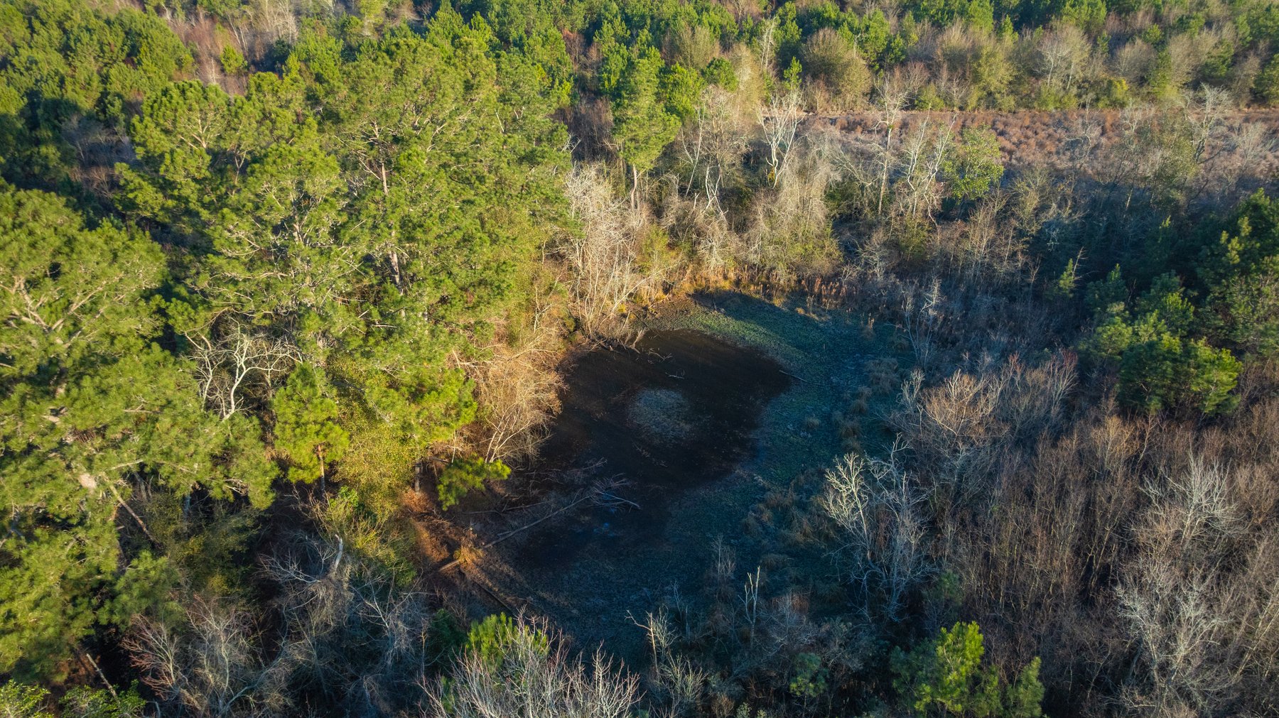 Image for 253+/- Acres - Bear Creek Farm - Sportsman’s Paradise w/ Row Crop Farmland - Premium Hunting & Creek Frontage - Offered Divided & as a whole
