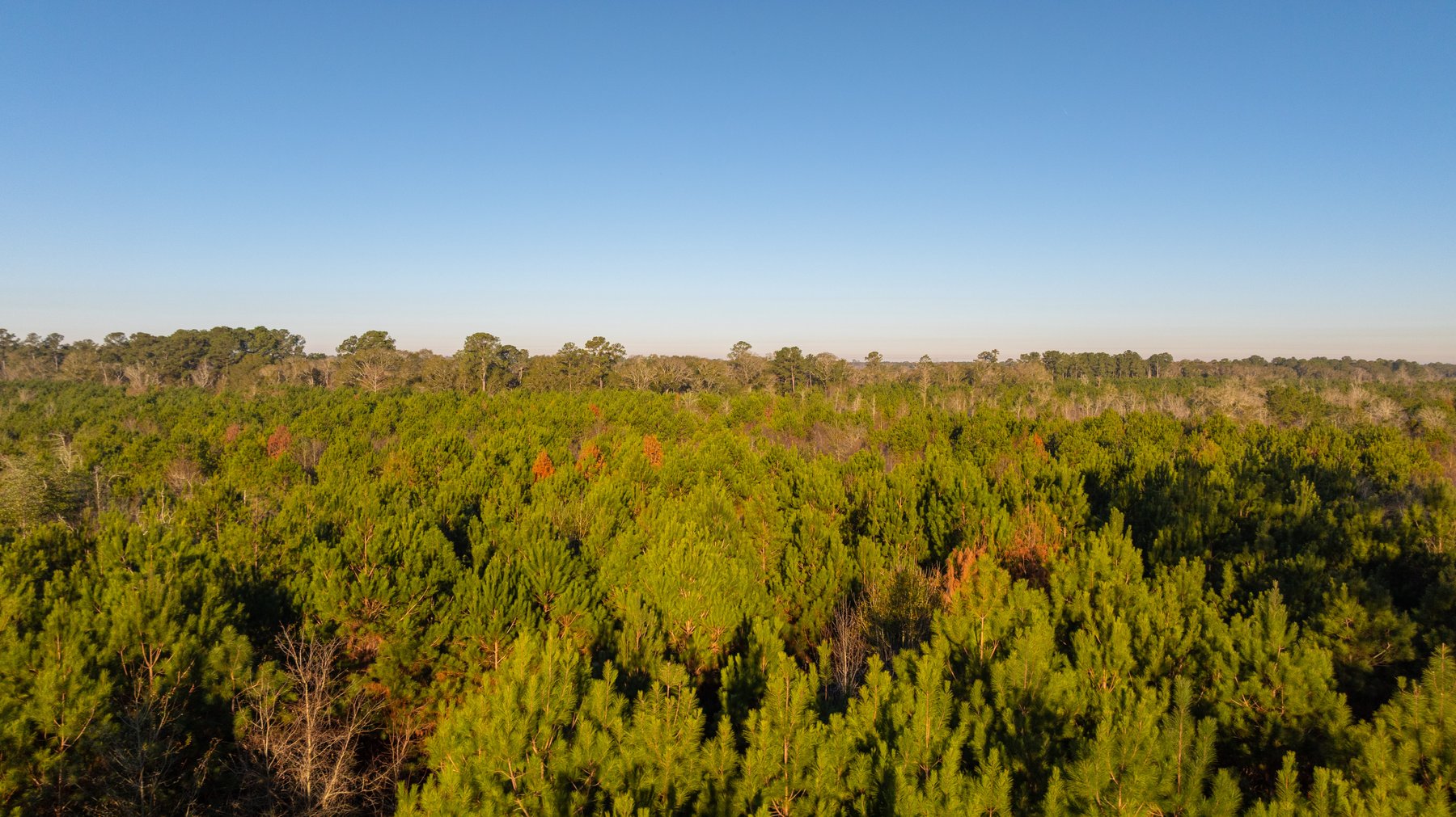 Image for 253+/- Acres - Bear Creek Farm - Sportsman’s Paradise w/ Row Crop Farmland - Premium Hunting & Creek Frontage - Offered Divided & as a whole