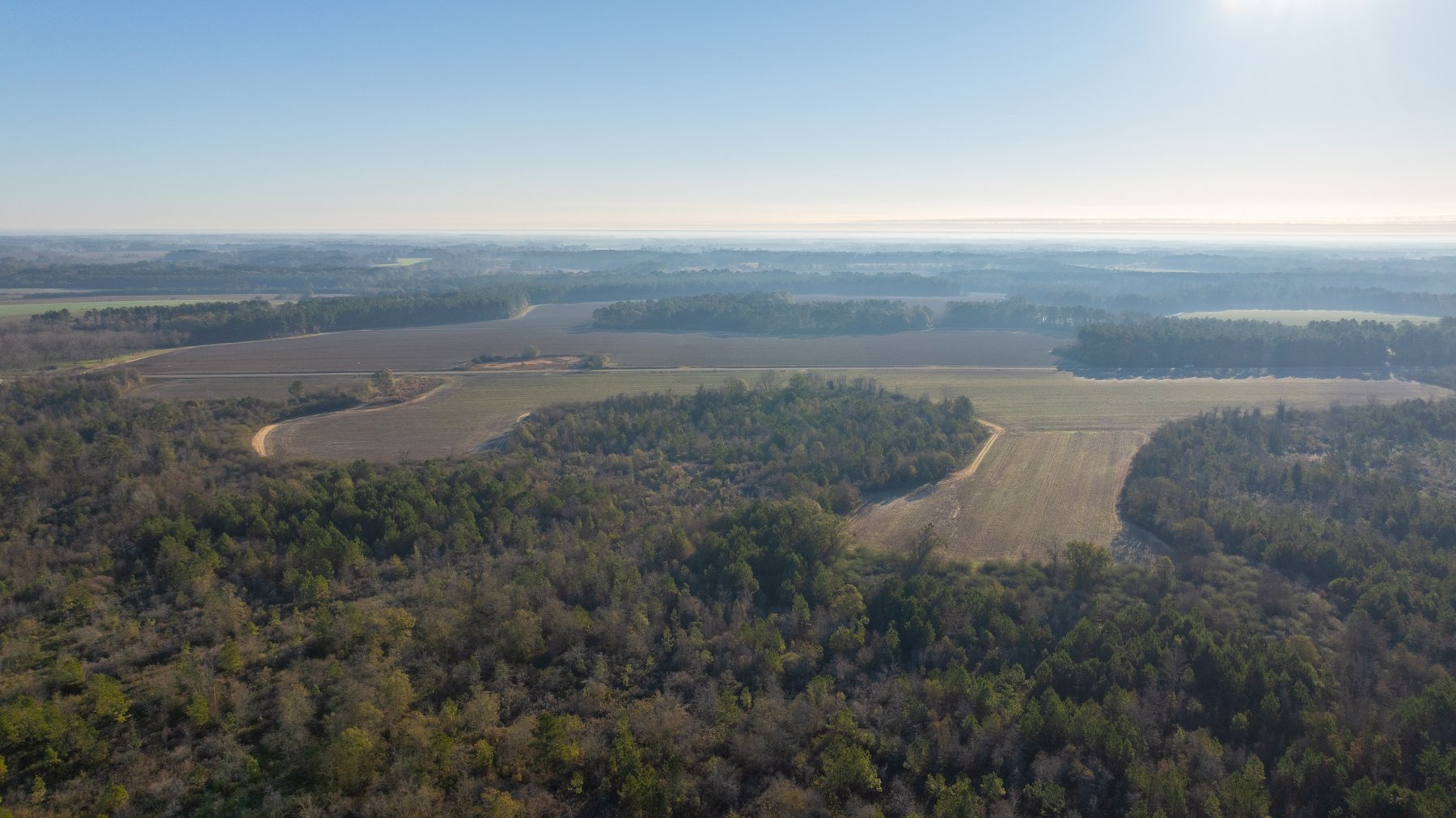 Image for 253+/- Acres - Bear Creek Farm - Sportsman’s Paradise w/ Row Crop Farmland - Premium Hunting & Creek Frontage - Offered Divided & as a whole