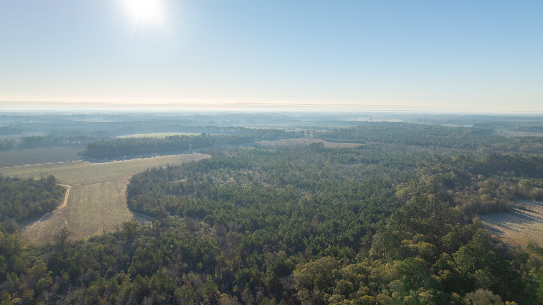 Image for 253+/- Acres - Bear Creek Farm - Sportsman’s Paradise w/ Row Crop Farmland - Premium Hunting & Creek Frontage - Offered Divided & as a whole