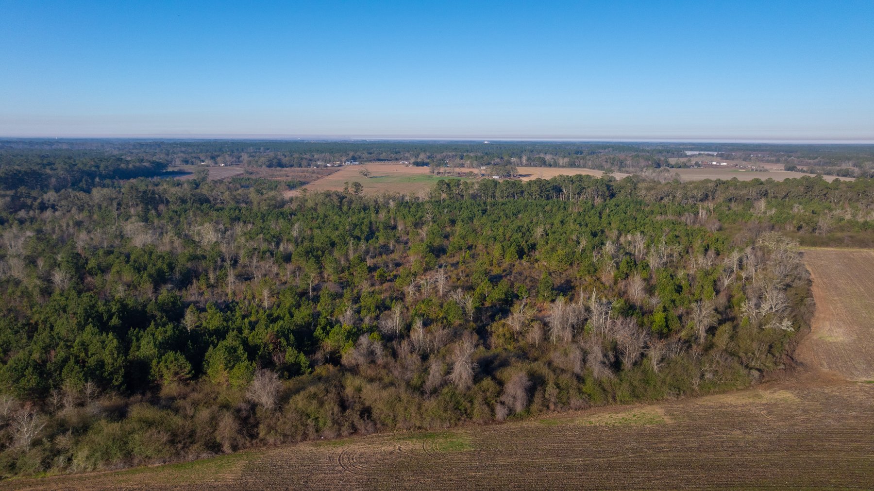 Image for 253+/- Acres - Bear Creek Farm - Sportsman’s Paradise w/ Row Crop Farmland - Premium Hunting & Creek Frontage - Offered Divided & as a whole