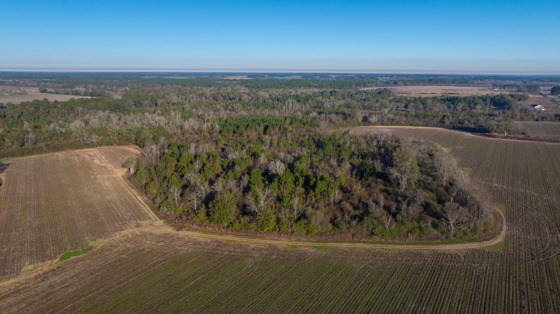 Image for 253+/- Acres - Bear Creek Farm - Sportsman’s Paradise w/ Row Crop Farmland - Premium Hunting & Creek Frontage - Offered Divided & as a whole