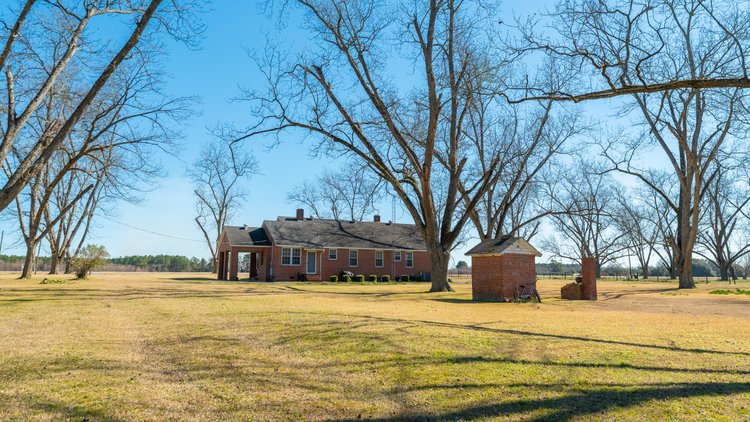 Image for 23.9± Acres - Beautiful Brick Home - Income-Producing Pecan Orchard - Development Potential in Vienna, GA