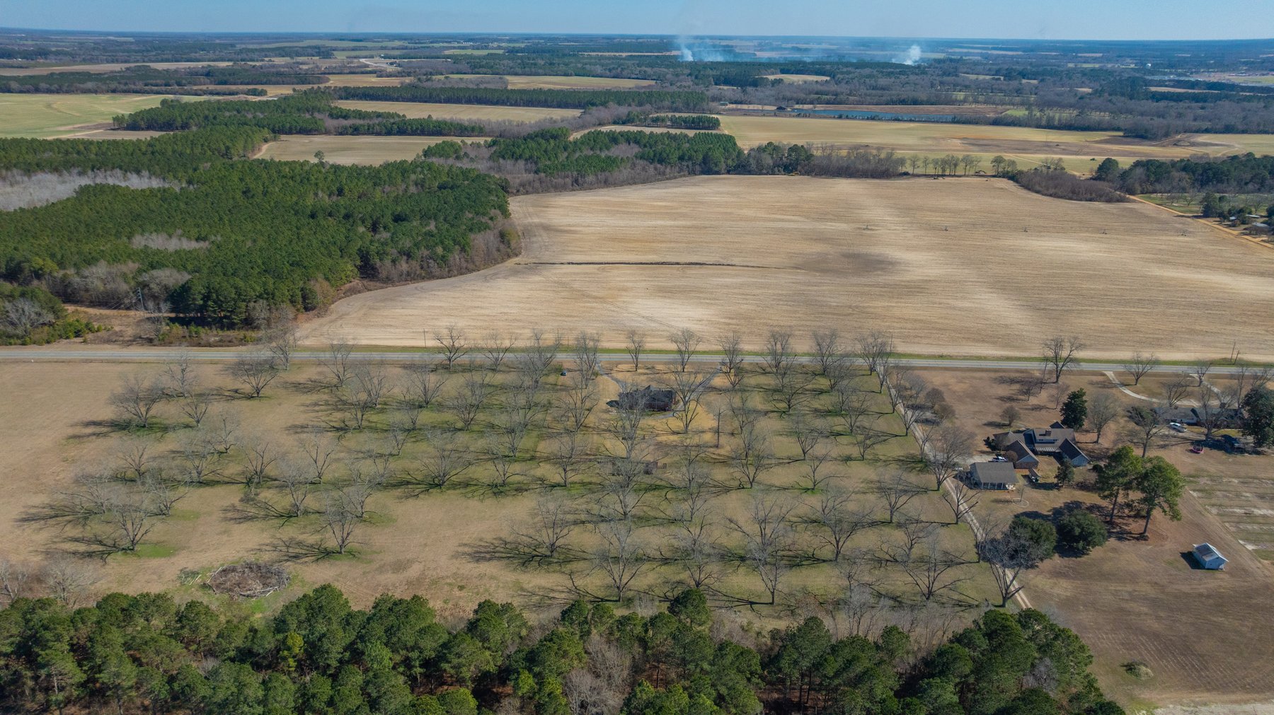 Image for 23.9± Acres - Beautiful Brick Home - Income-Producing Pecan Orchard - Development Potential in Vienna, GA