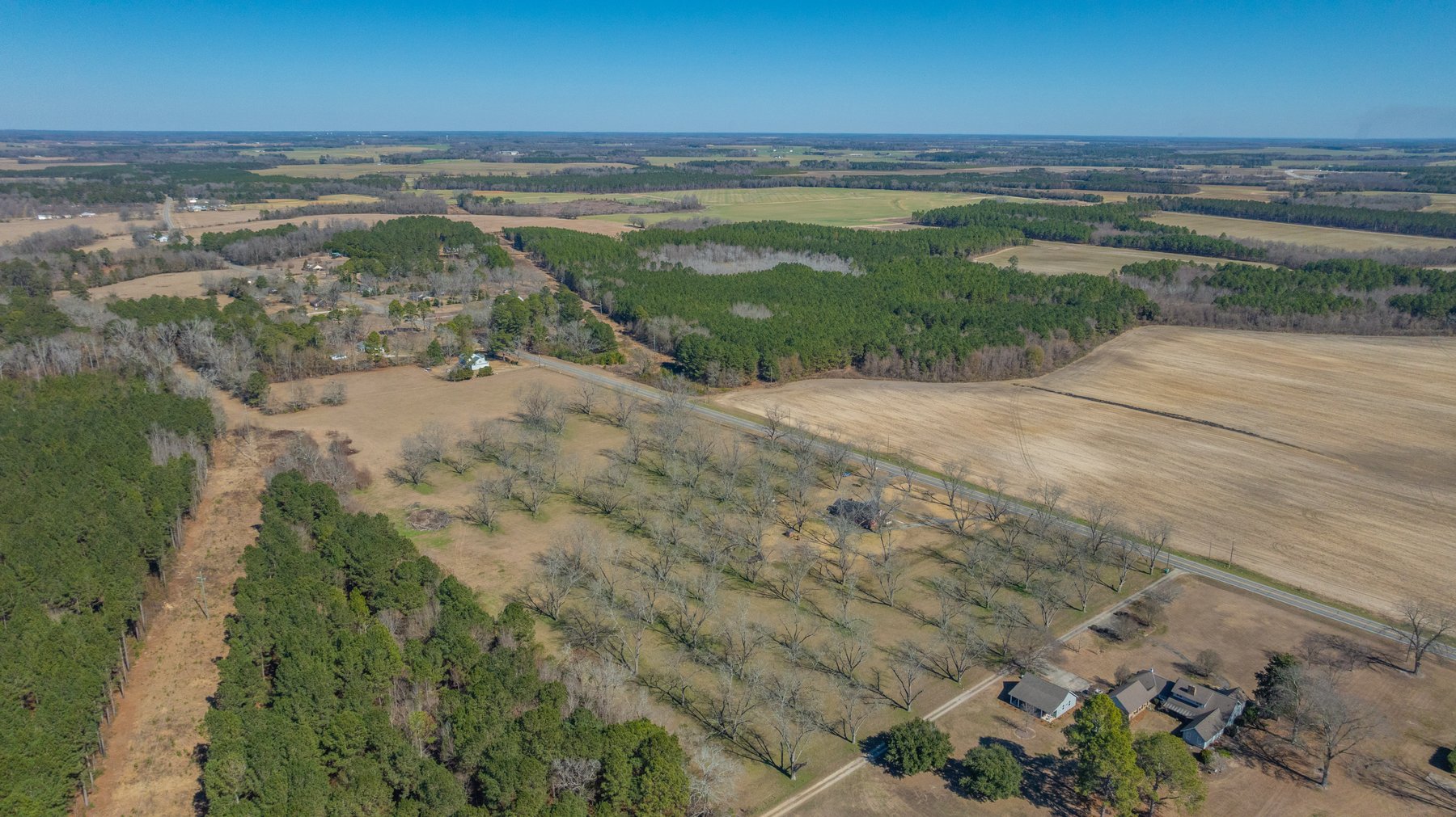 Image for 23.9± Acres - Beautiful Brick Home - Income-Producing Pecan Orchard - Development Potential in Vienna, GA