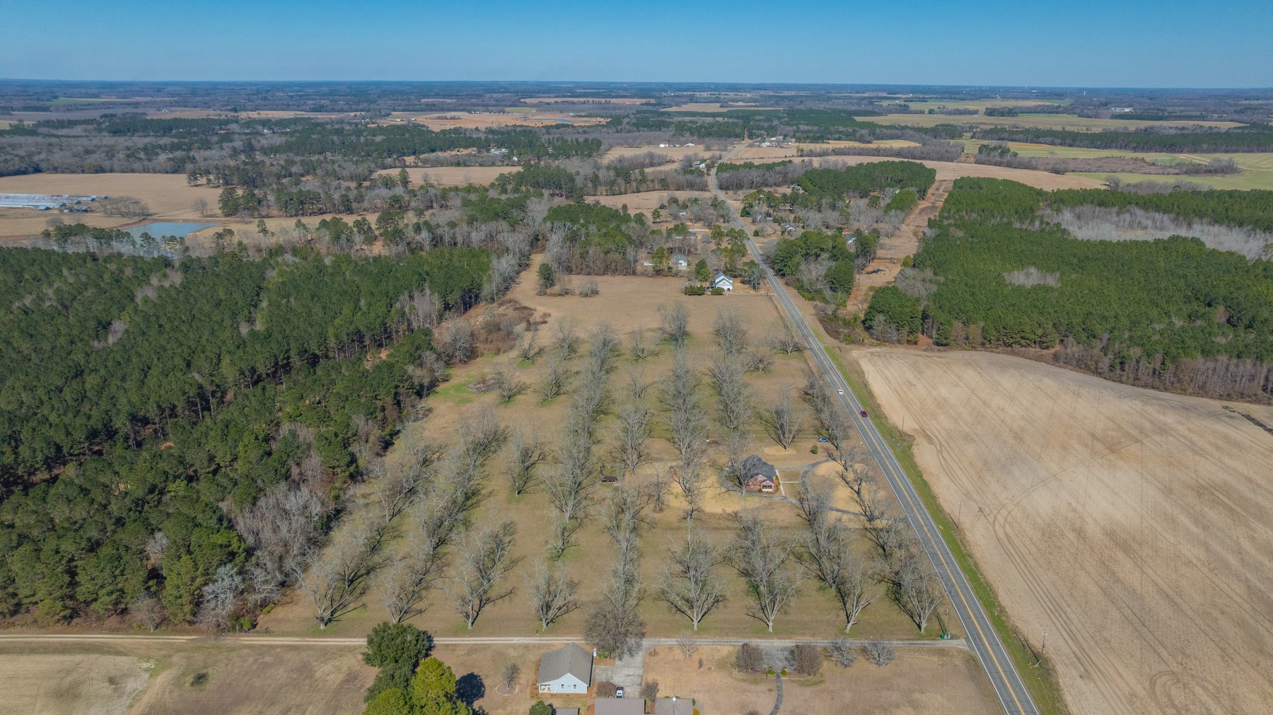 Image for 23.9± Acres - Beautiful Brick Home - Income-Producing Pecan Orchard - Development Potential in Vienna, GA