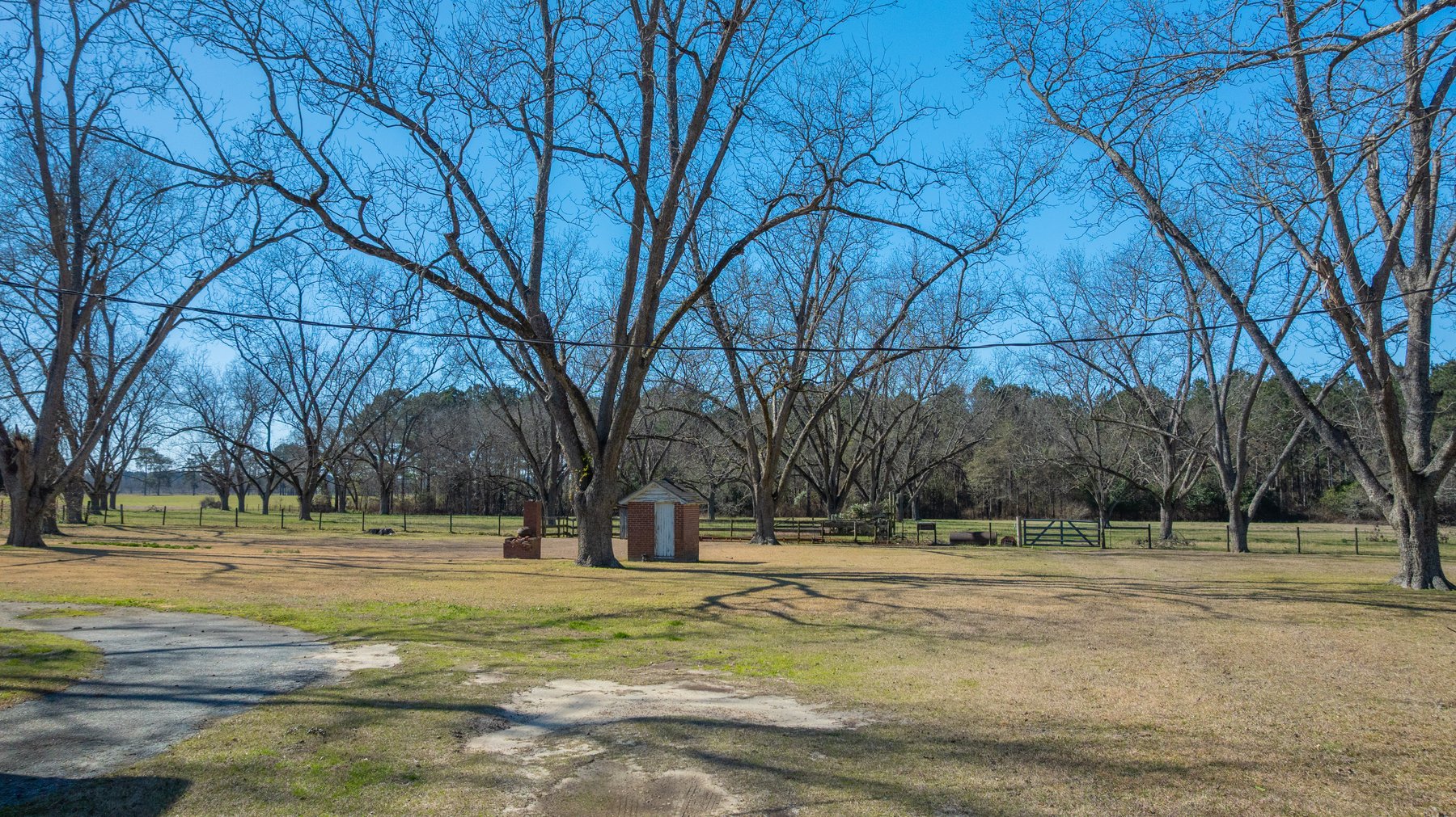 Image for 23.9± Acres - Beautiful Brick Home - Income-Producing Pecan Orchard - Development Potential in Vienna, GA