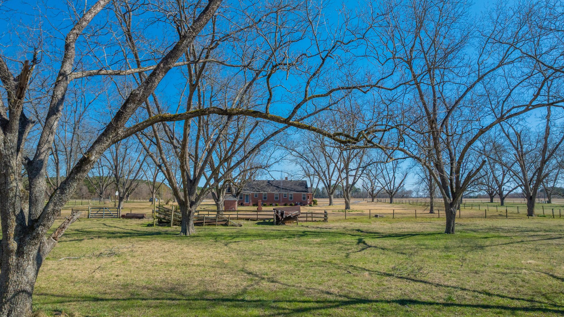 Image for 23.9± Acres - Beautiful Brick Home - Income-Producing Pecan Orchard - Development Potential in Vienna, GA
