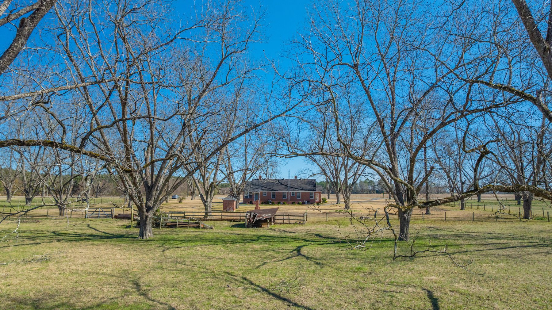 Image for 23.9± Acres - Beautiful Brick Home - Income-Producing Pecan Orchard - Development Potential in Vienna, GA