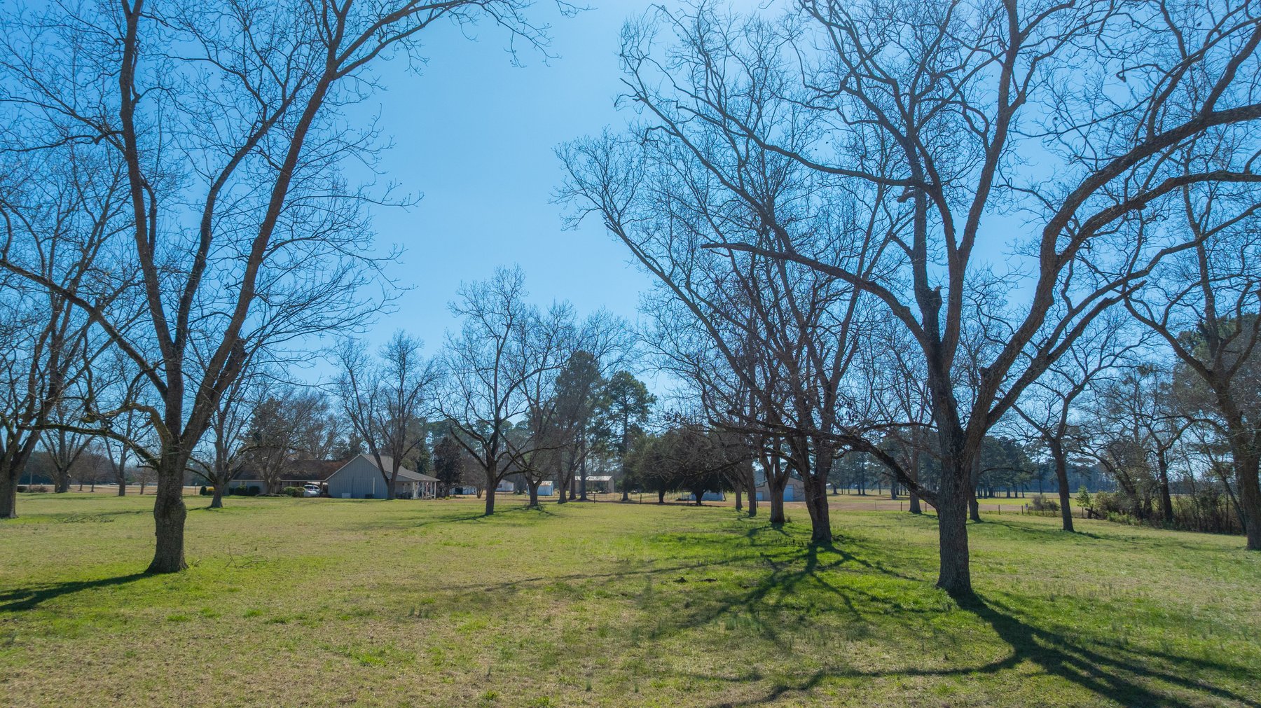 Image for 23.9± Acres - Beautiful Brick Home - Income-Producing Pecan Orchard - Development Potential in Vienna, GA