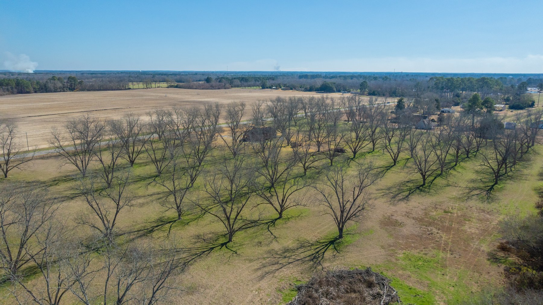 Image for 23.9± Acres - Beautiful Brick Home - Income-Producing Pecan Orchard - Development Potential in Vienna, GA