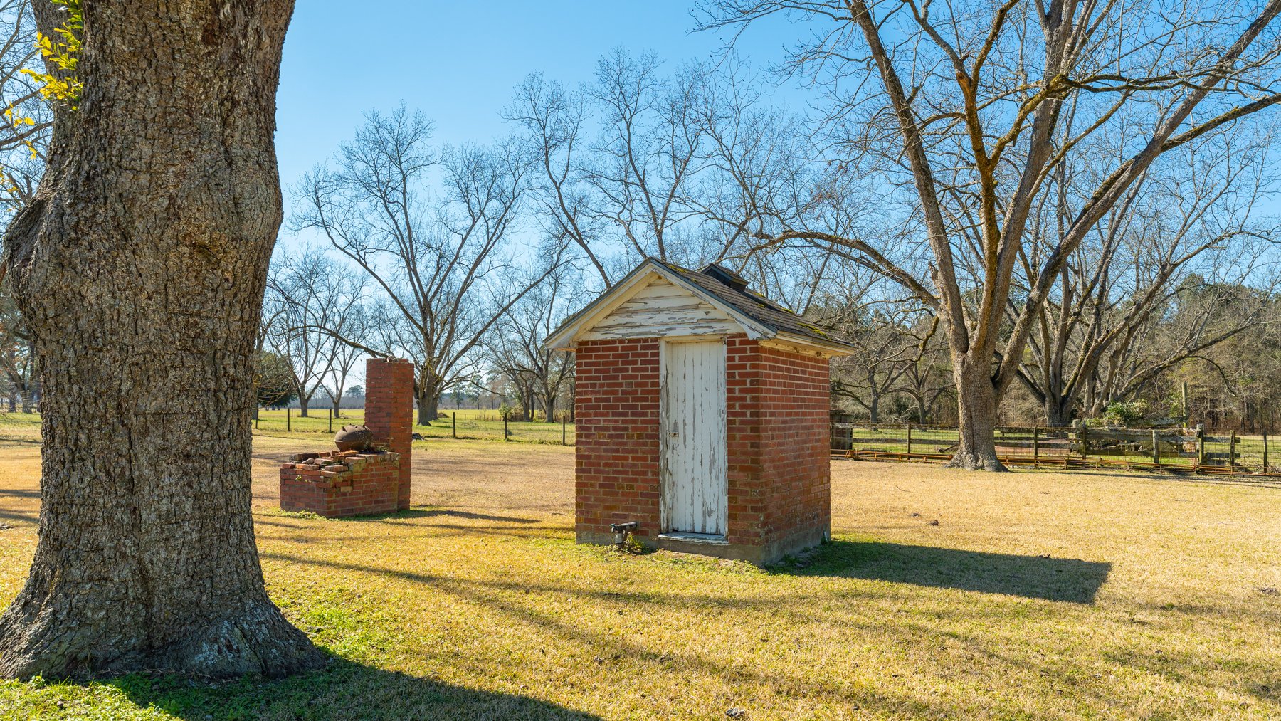 Image for 23.9± Acres - Beautiful Brick Home - Income-Producing Pecan Orchard - Development Potential in Vienna, GA